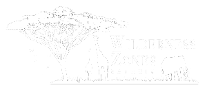 wilderness zones safaris Logo